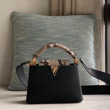 LOUIS VUITTON CAPUCINES BAG