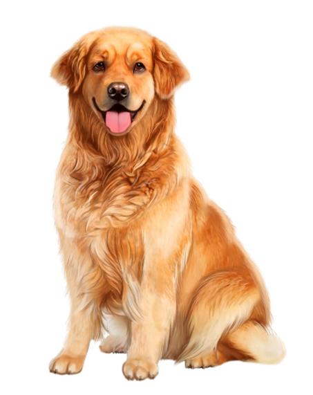 منتجات الحيوانات