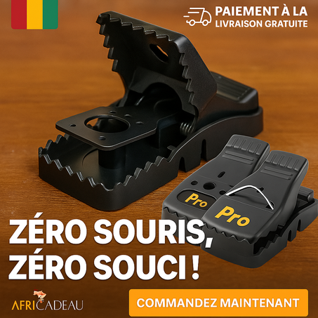 Pack de 3 Pièges à Souris Pro : Zéro Souris, Zéro Souci 🪤