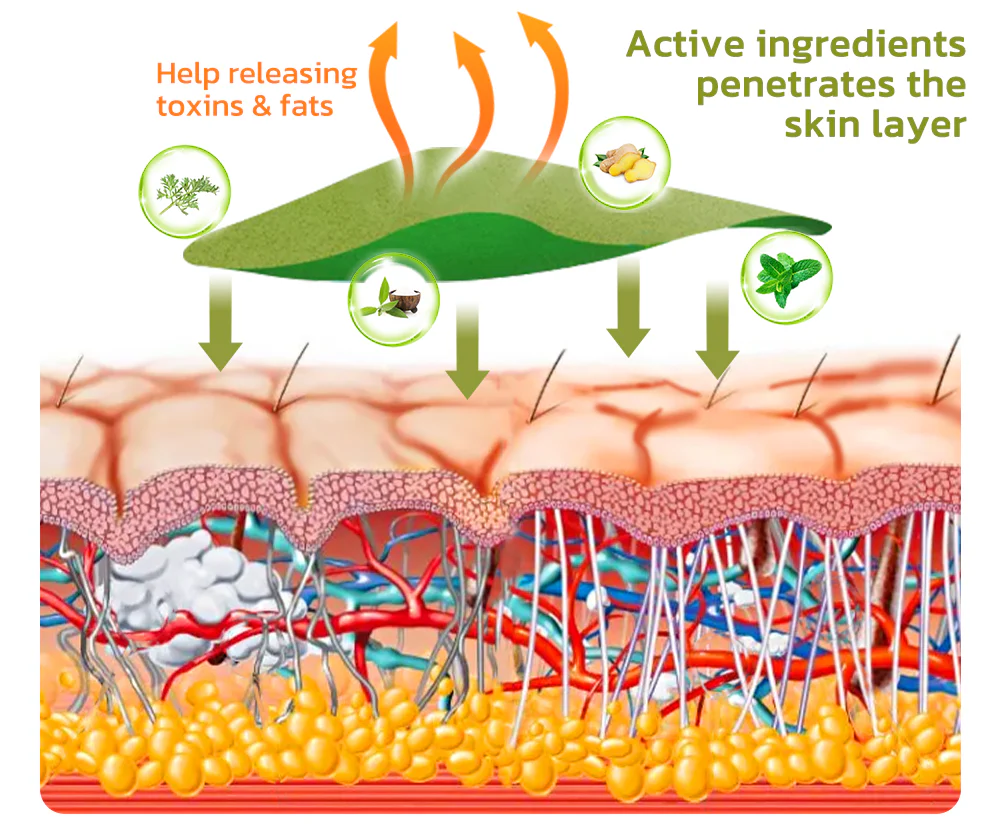 Patchs anti-cellulite HerbalLegs