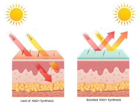 Oveallgo™ BEAUTIFIC Anti-Cellulite Firming Soap 25