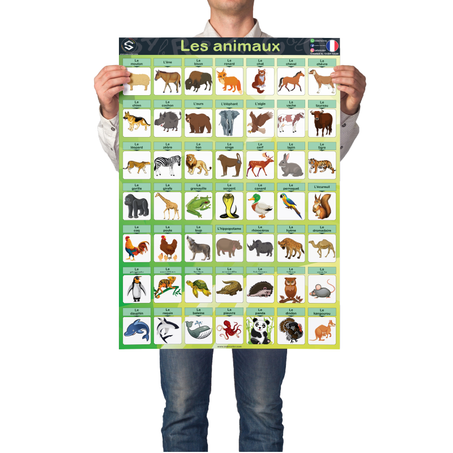 Les animaux - Français