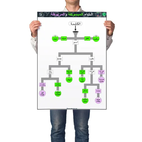 التاء المبسوطة والمربوطة