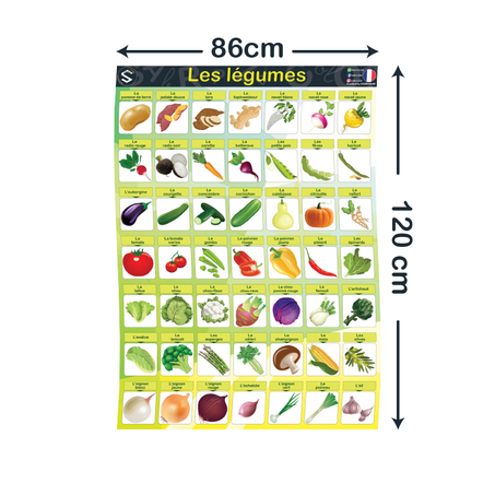 Les légumes - Français