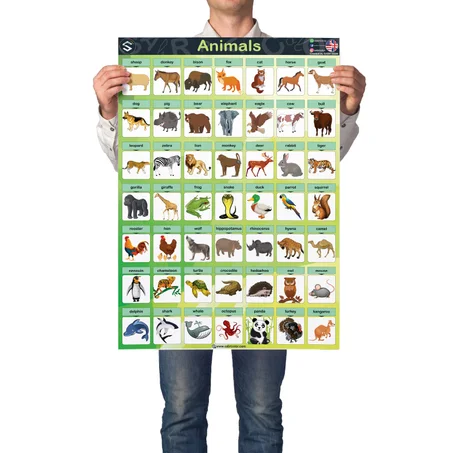 Animals Vocabulary