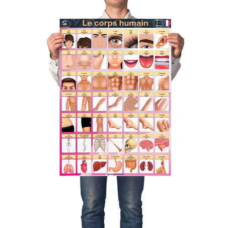 Le corps humain - [Français]