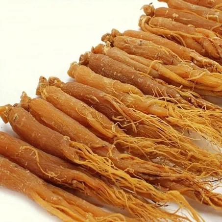 جينسينج احمر كورى مطحون 1 كجم