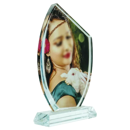 Transparent Crystal Trophy