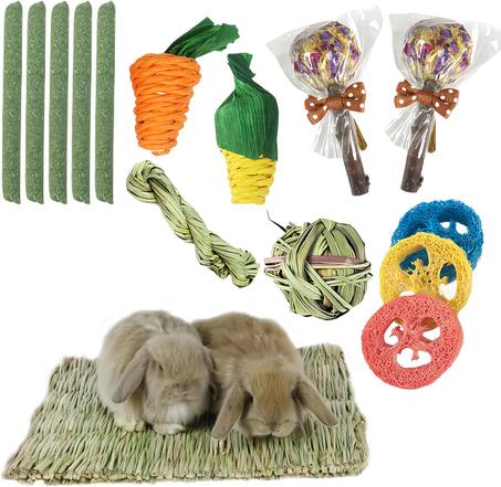 Bunny toys