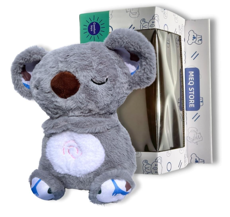 Oso Koala que respira.