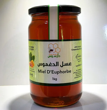 miel d'euphorbe 1kg  عسل الدغموس