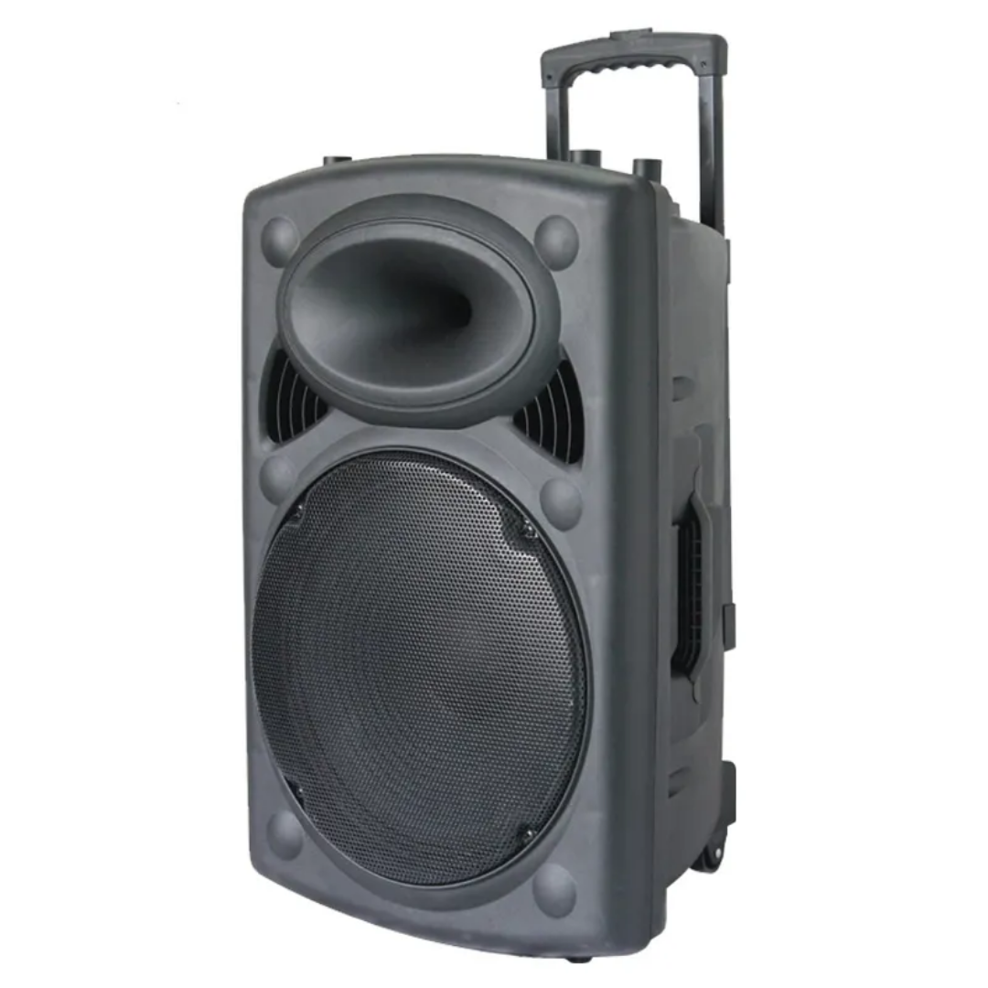 Woofer Puissant D15 Hansonview + 2 Micros sans fil
