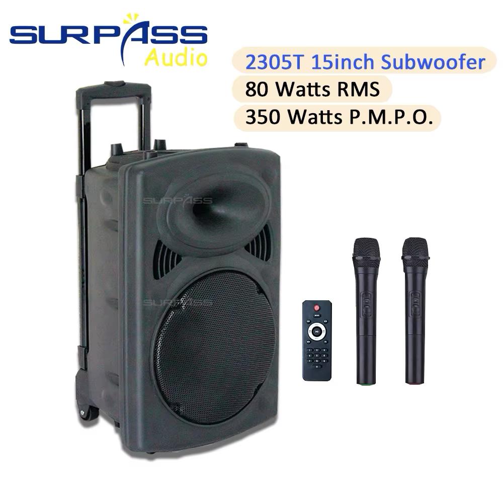 Woofer Puissant D15 Hansonview + 2 Micros sans fil