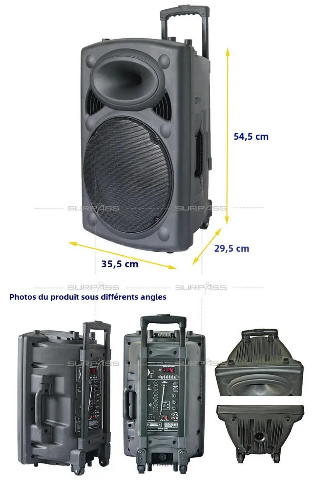 Woofer Puissant D15 Hansonview + 2 Micros sans fil