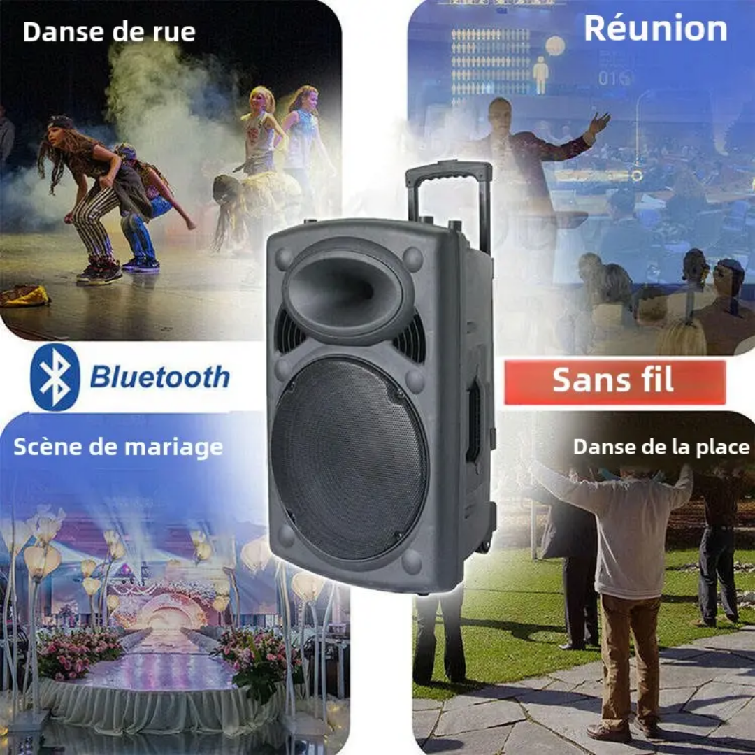 Woofer Puissant D15 Hansonview + 2 Micros sans fil