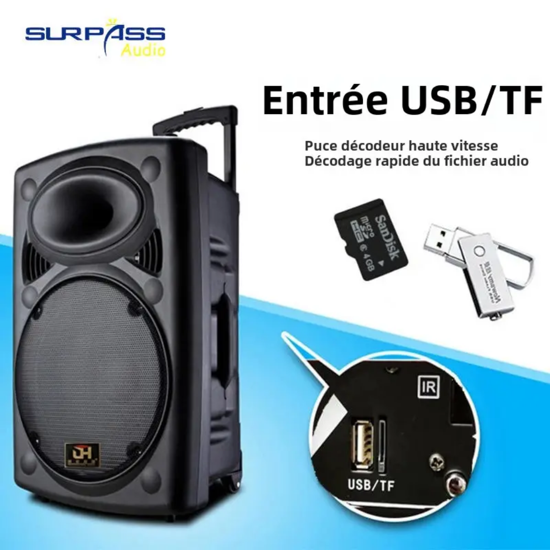 Woofer Puissant D15 Hansonview + 2 Micros sans fil