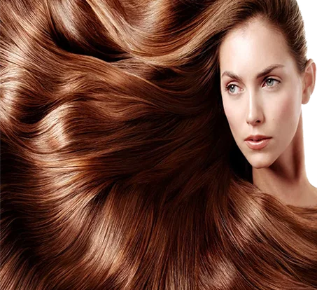 العناية بالشعر