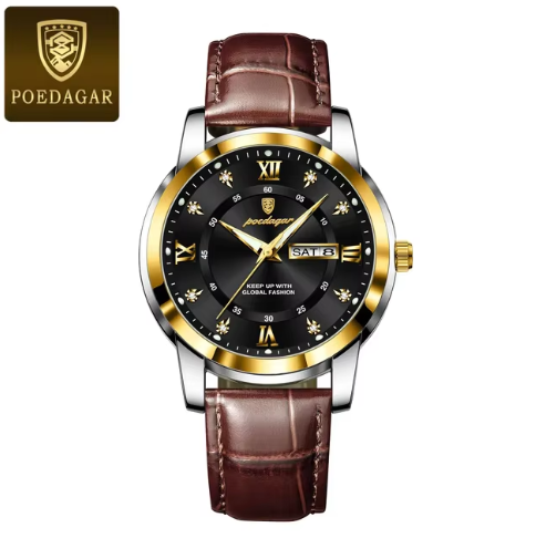 POEDAGAR Luxury Wristwatch