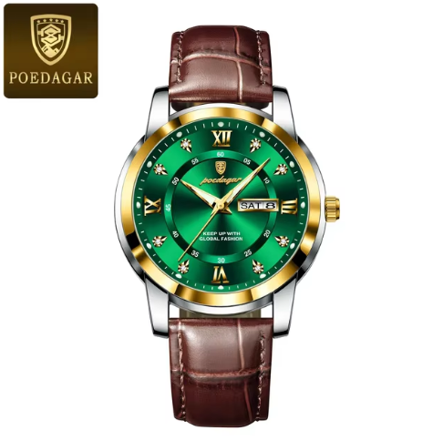 POEDAGAR Luxury Wristwatch