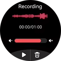Haylou Solar 5 Recorder screen