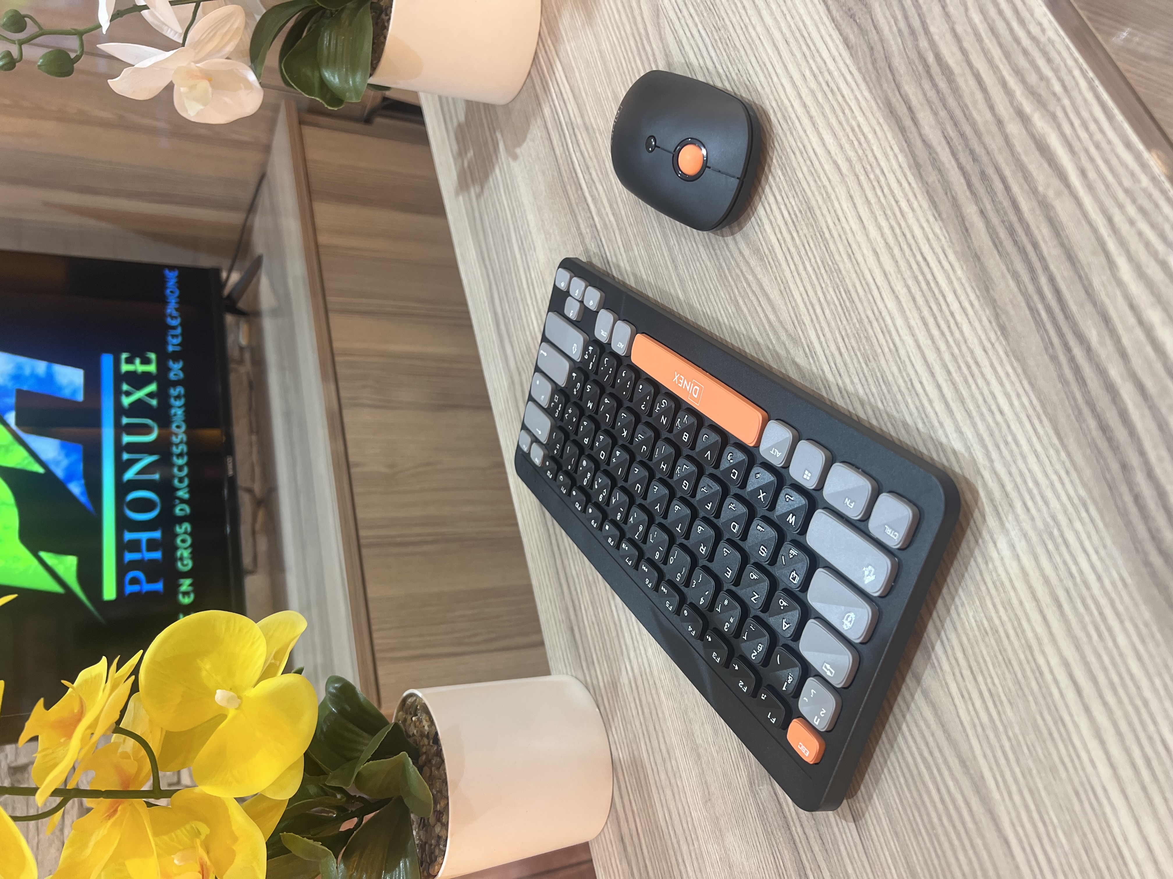 CLAVIER ET SOURIS DINEX
