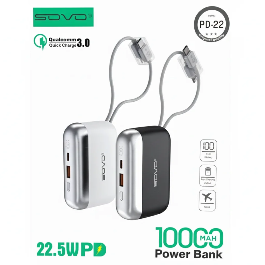 power bank baladeur