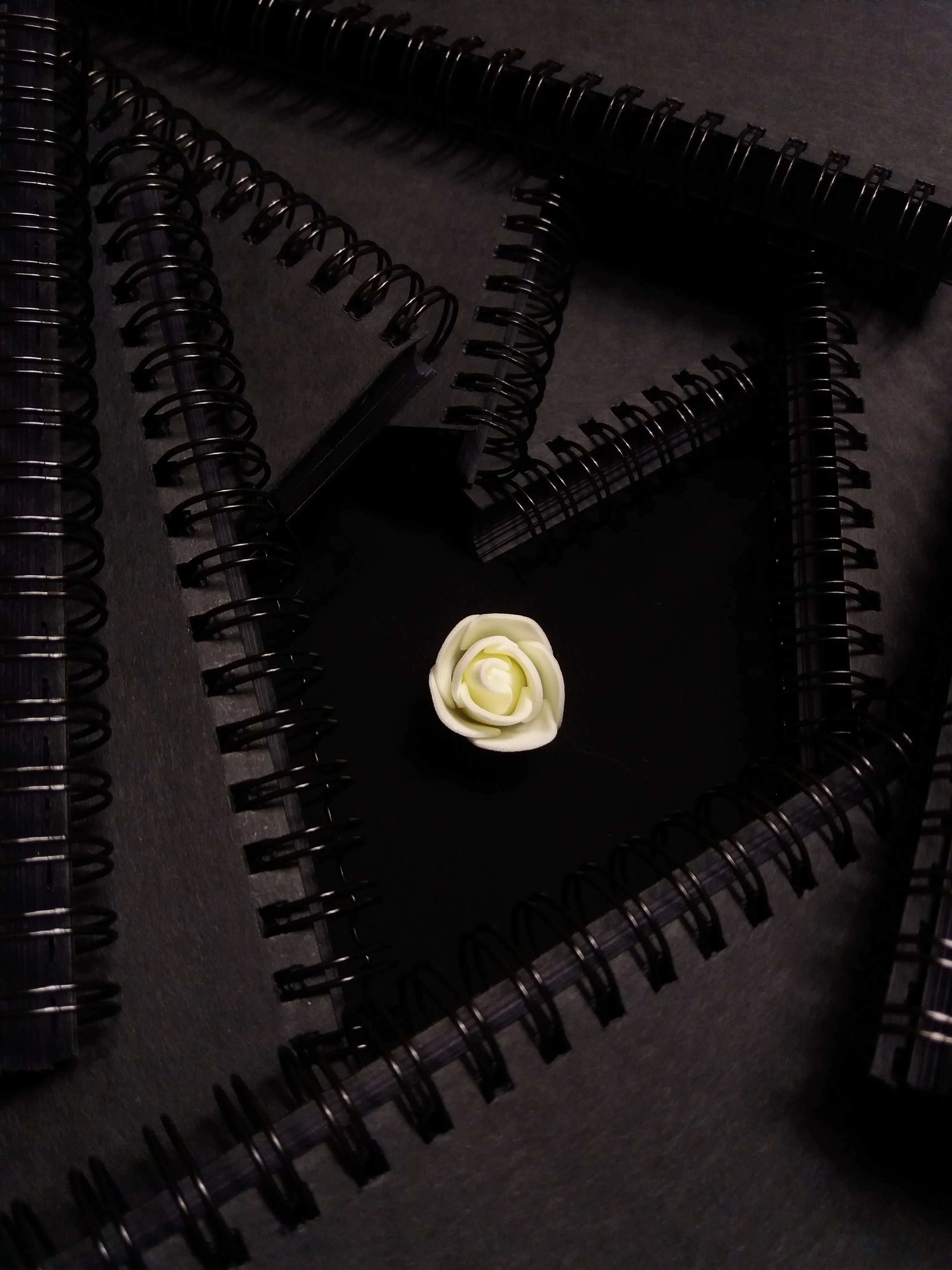 Carnet noir luxueux MelanMood