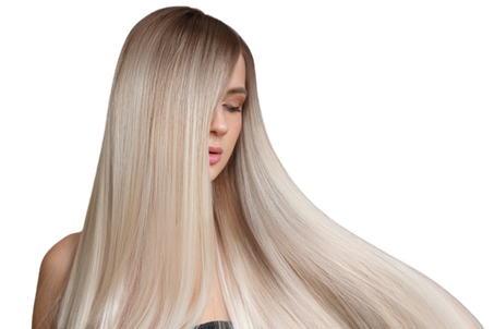 شامبو زهرة المورينكا