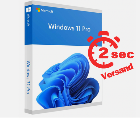 Microsoft Windows 11 Professional Lizenz