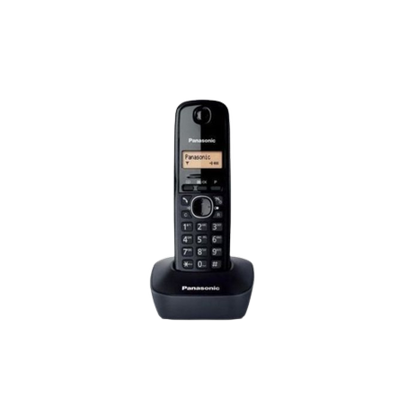 Panasonic KX-TG1611FRH Solo