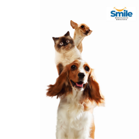 مستلزمات الحيوانات