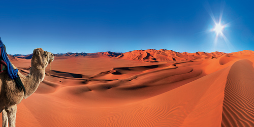 slider-image