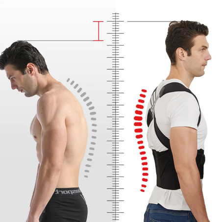 مشد الظهر   TamoX™