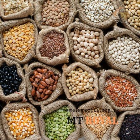 البذور _ seeds