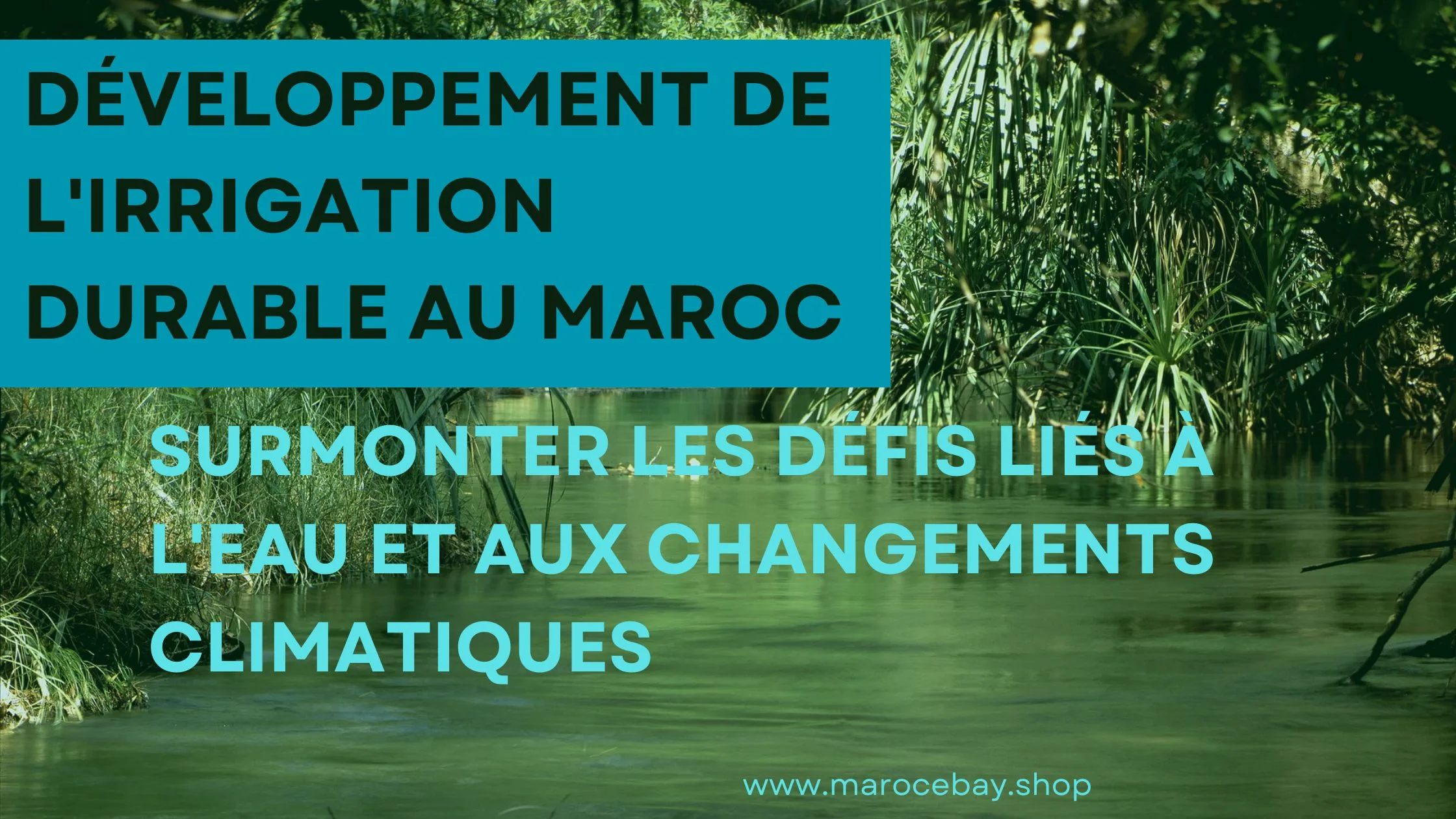 l'irrigation durable au maroc