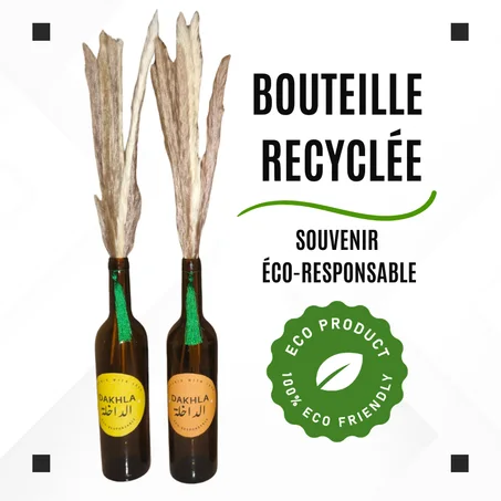 ديكور إيكولوجي - تذكار صديق للبيئة من الداخلة