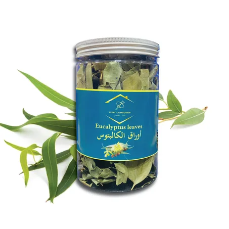 Eucalyptus leaves  أوراق الكالبتوس