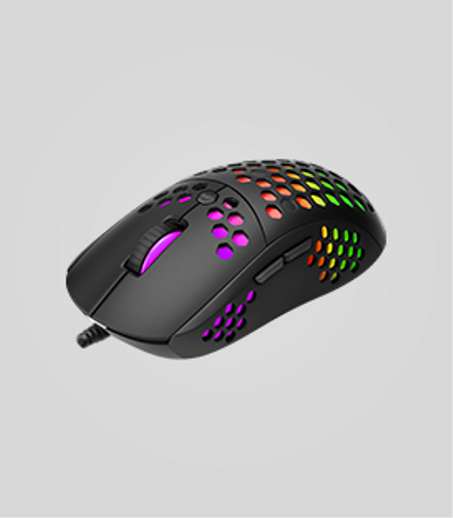 Souris & Souris Gamer