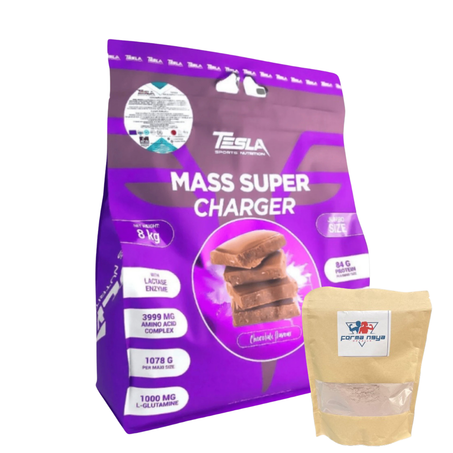 Mass Super Charger - Tesla