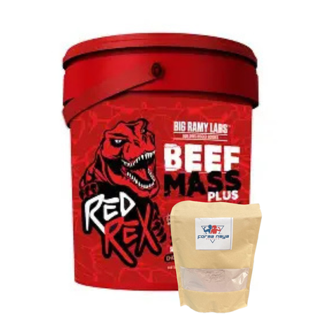 Beef Mass - Gainer Protéine de Bœuf
