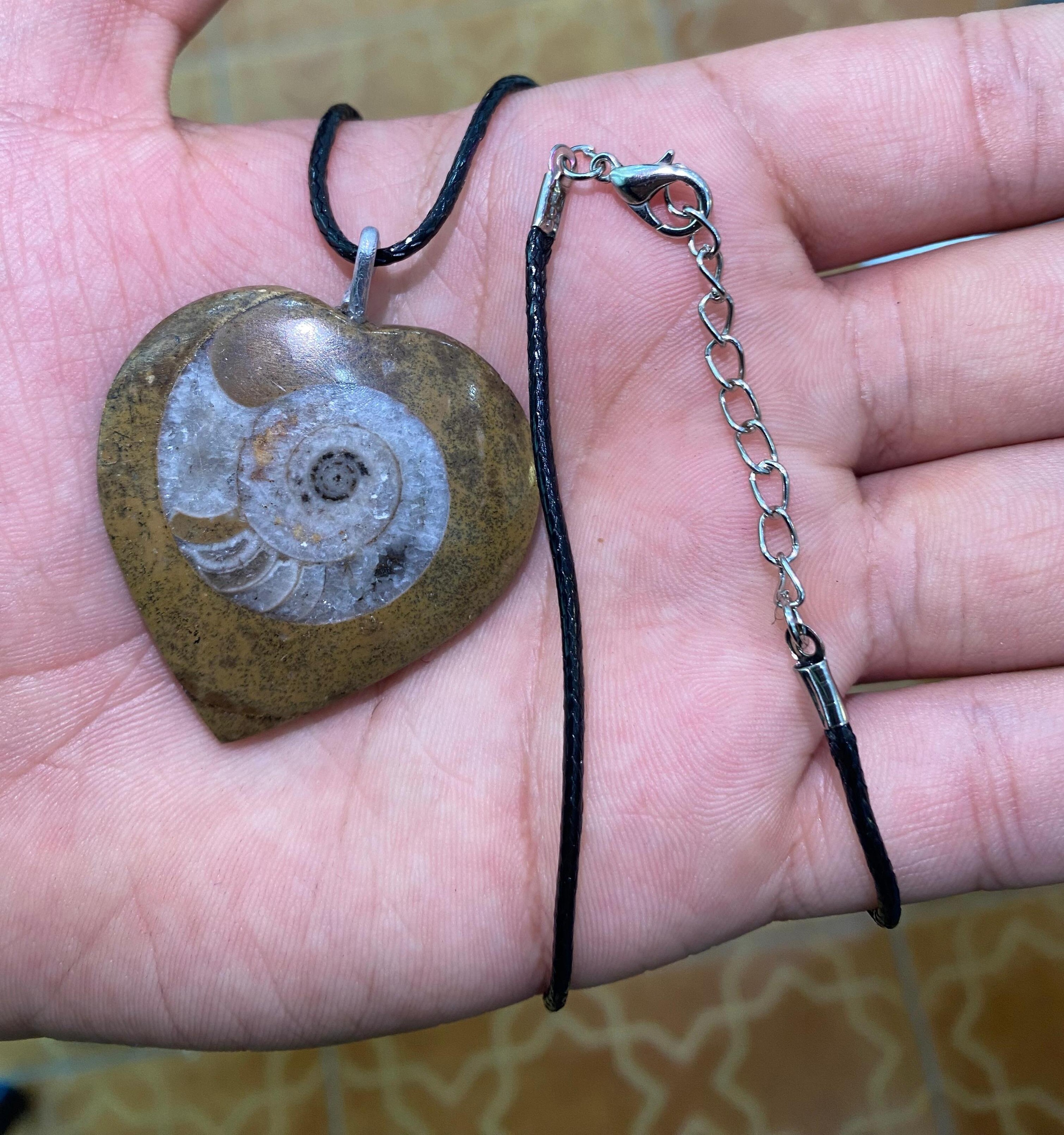 collier fossile ammonite /قلادة الأحفوري الأمونيت