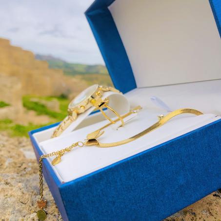 Pack 4 pièces Montre michael kors+ Ensemble Collier Choker papillon doré et Bague papillon et Boucles papillon en acier inoxydable