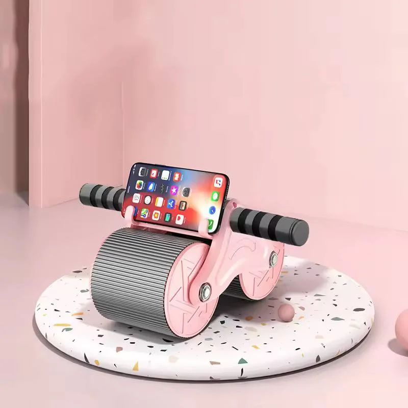 Roue Abdominale Multifonction