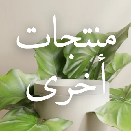 منتجات أخرى