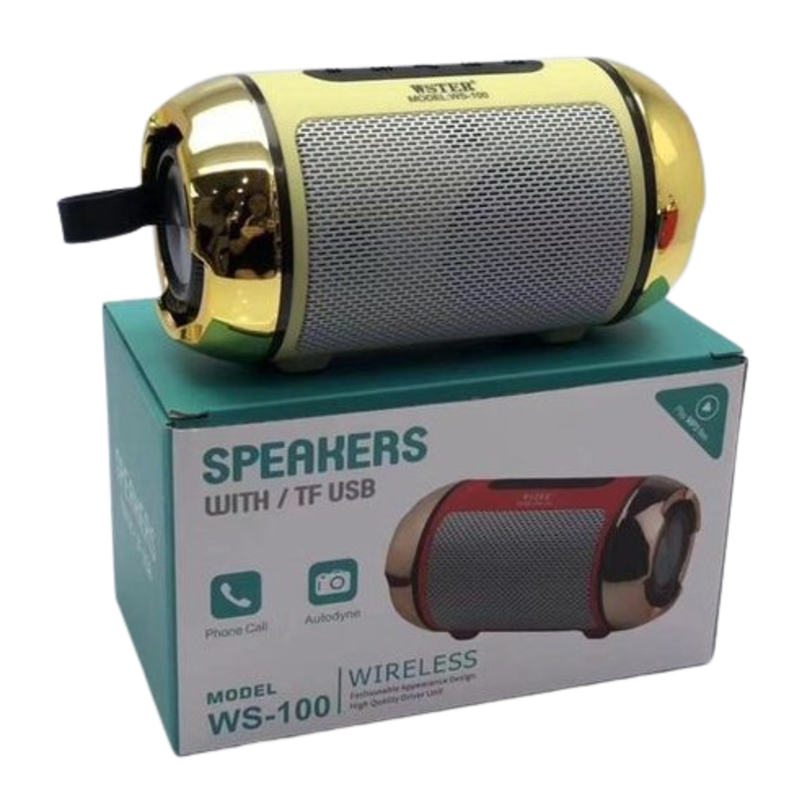 مكبر الصوت Bluetooth Wster WS-100