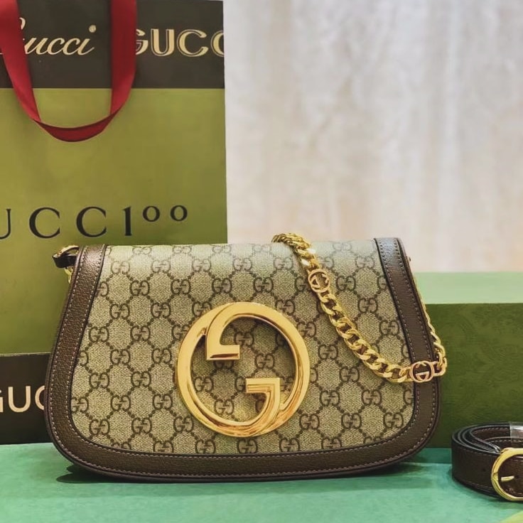 Sac gucci ophidia