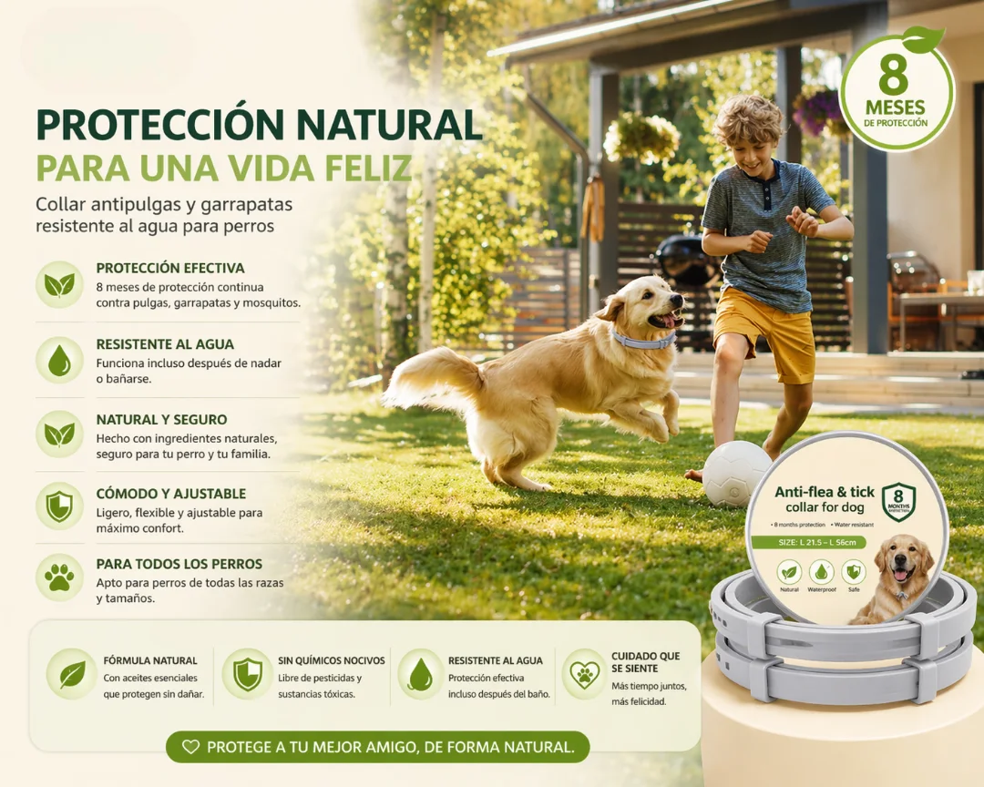 Ventaya Collar Antiparasitario para Perros – Protección 8 Meses, Impermeable
