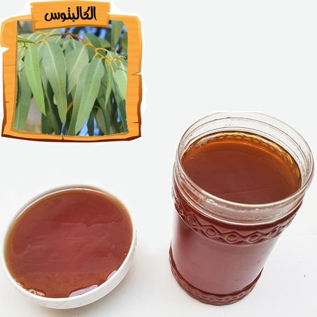 عسل الكالبتوس الحر
