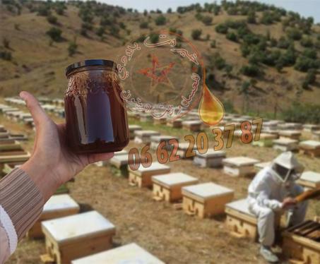 عسل الدغموس الحر