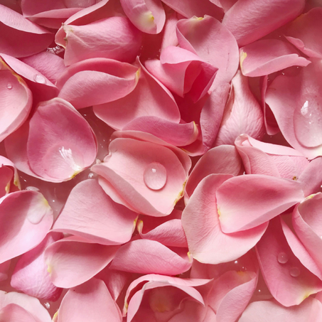 فوائد ماء الورد للبشرة وكيفية استخدامه